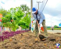 Z4805808838857 2902e8bac45cfa83b073aa298411306c