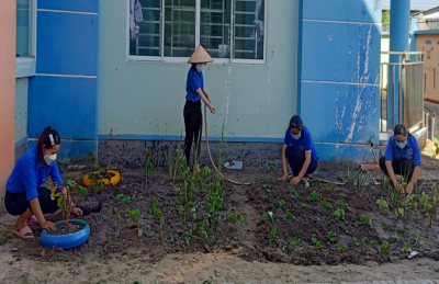 Cải tạo vườn cây thuốc nam của đoàn thanh niên