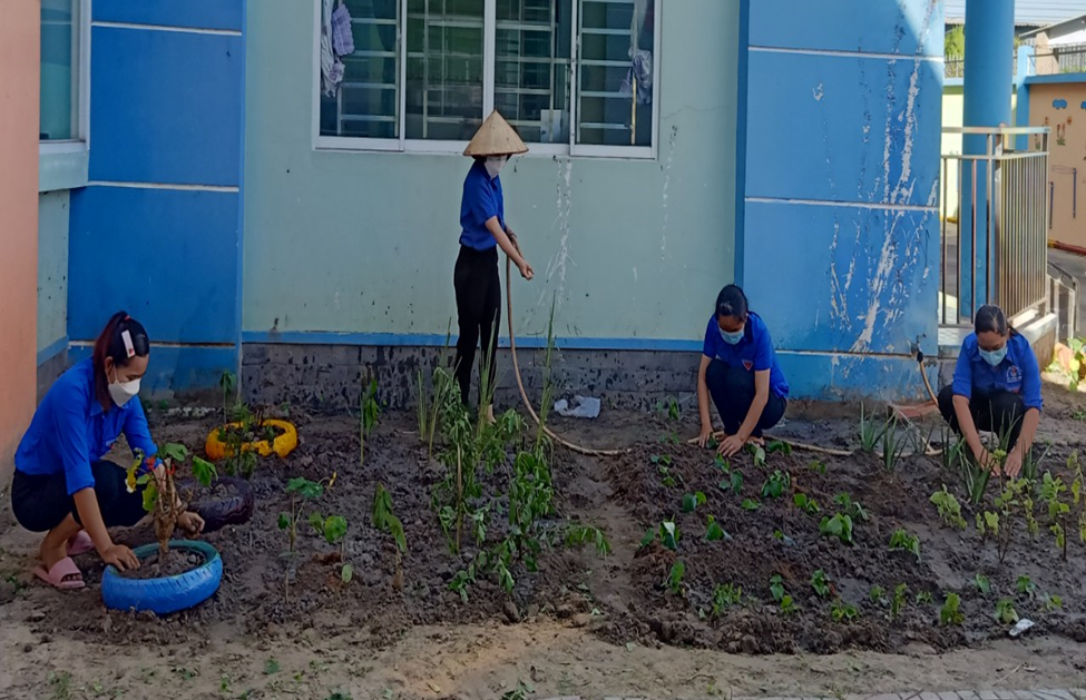 Cải tạo vườn cây thuốc nam của đoàn thanh niên