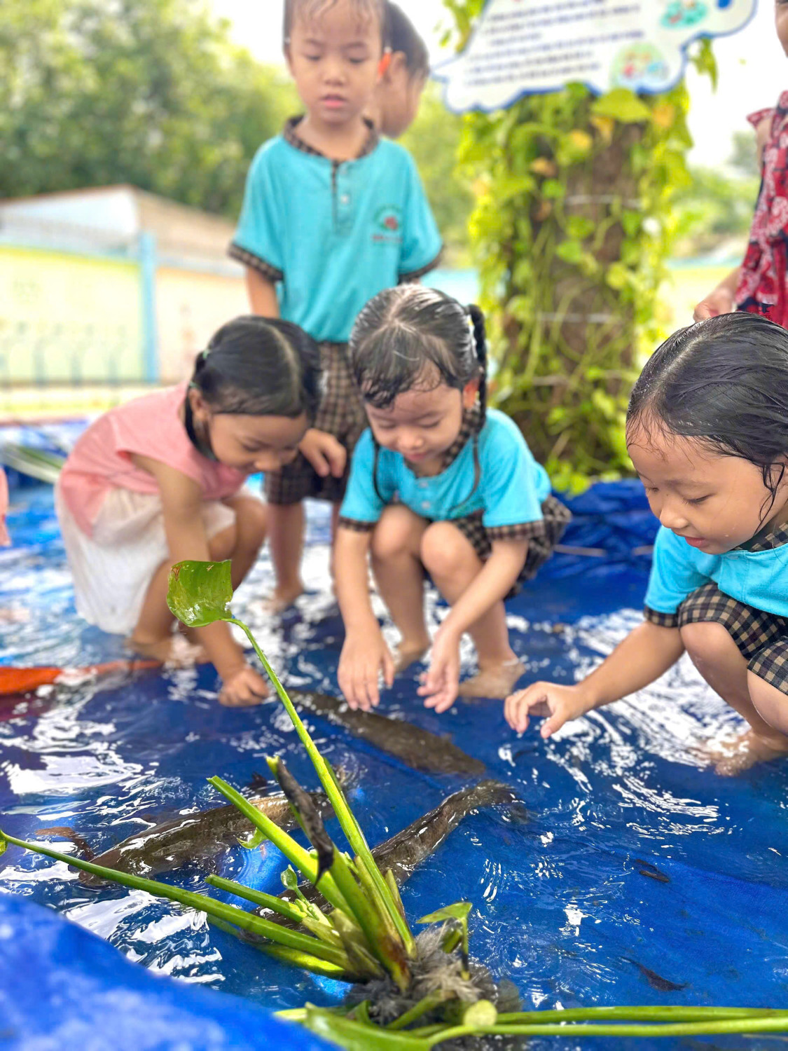 Hoạt động trải nghiệm hè “Mùa hè của bé - Vui cùng cá và mưa“