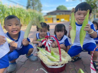 Hoạt động trải nghiệm: Trẻ đi hái bắp