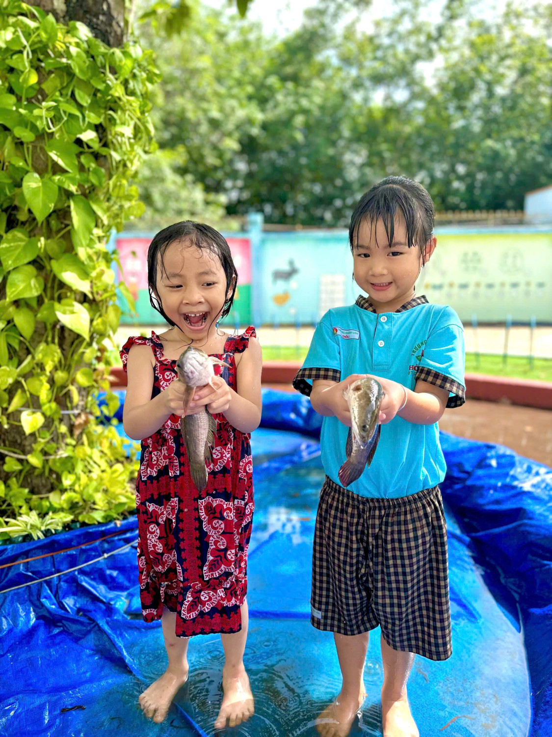 Hoạt động trải nghiệm hè “Mùa hè của bé - Vui cùng cá và mưa“